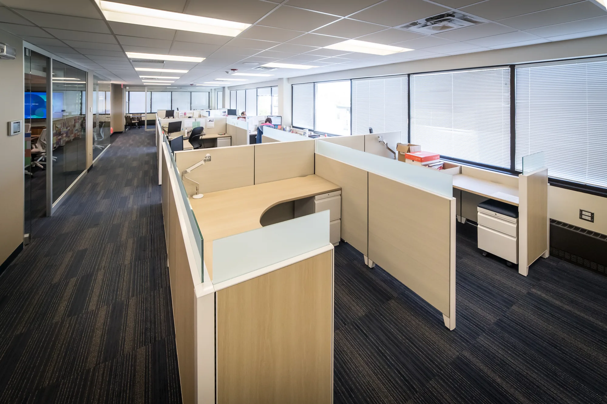 MDRT wood clad reception